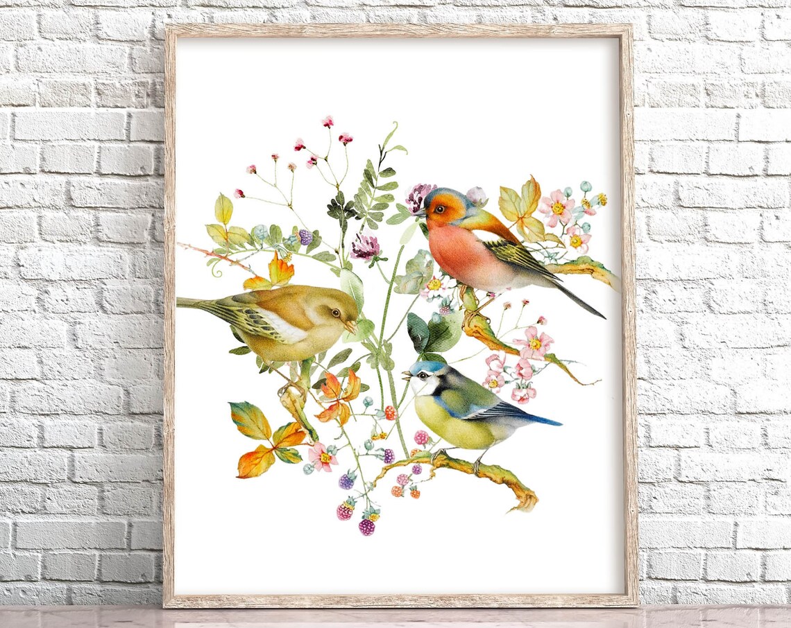 Spring Songbirds Chaffinch And Blue Tit Floral Watercolor Poster