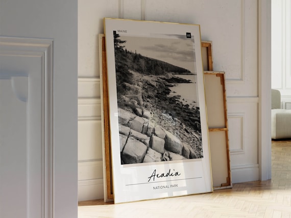 Acadia National Park Maine Black White Rocky Coast Photo Poster