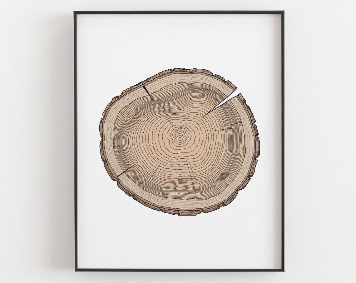 Tree Ring Print, Rustic Woodland Botanical Art - Image 3