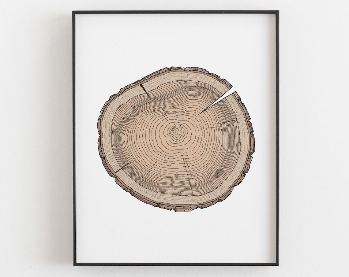 Tree Ring Print, Rustic Woodland Botanical Poster - Image 3