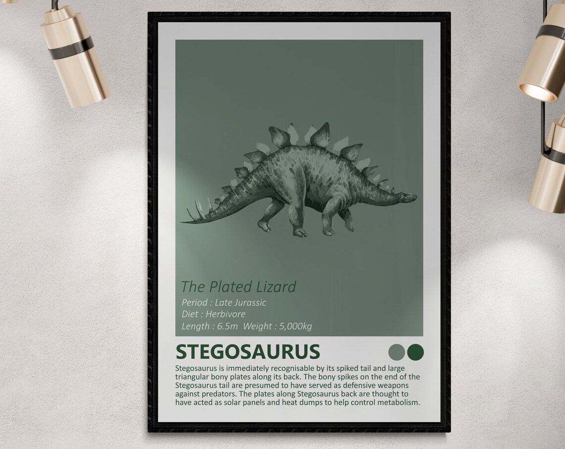 Stegosaurus Dinosaur Fact Sheet, Minimalist Design