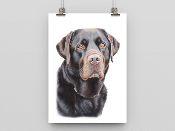 Chocolate Labrador Wall Art Animal Dog Print Colour Pencil Sketch Poster Modern