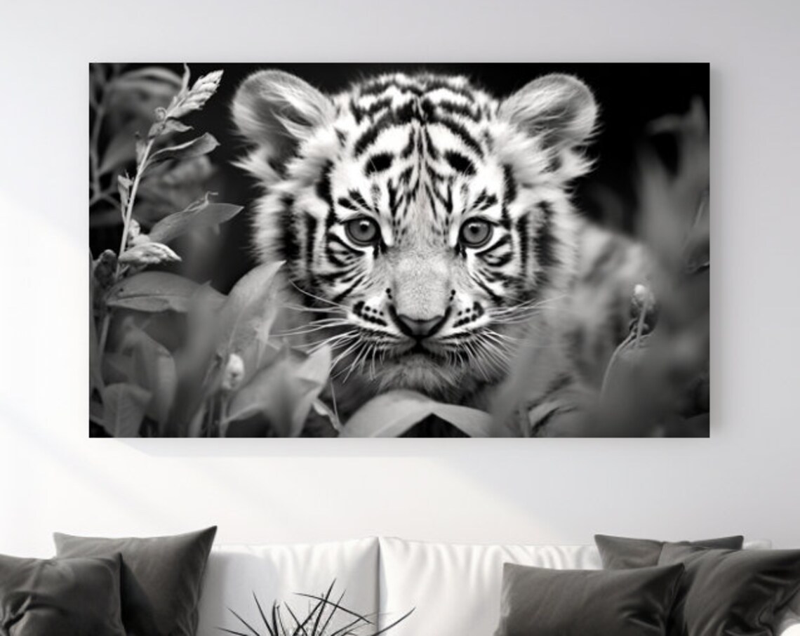 Baby Tiger Cub Black And White Portrait Cute Wildlife Poster