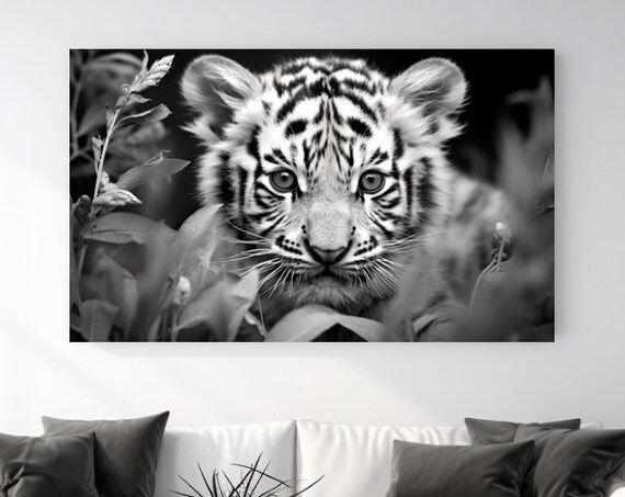 Baby Tiger Cub Black And White Portrait Cute Wildlife Poster