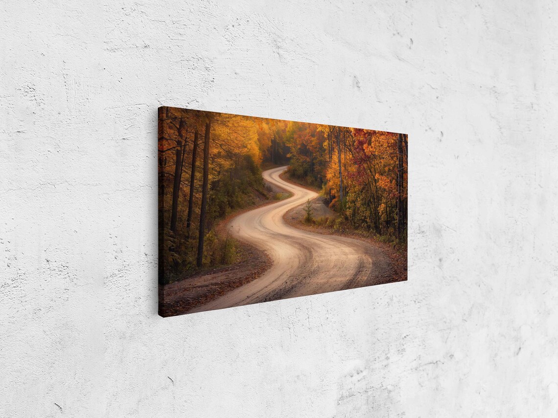 Winding Dirt Road Through Autumn Woods Golden Light Nature Poster - Image 4