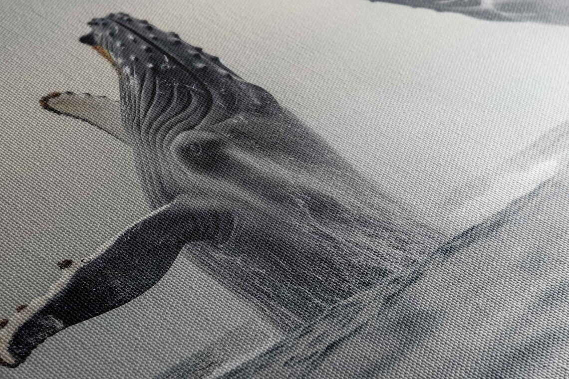 Pair Of Humpback Whales Clear Skies Ocean Waves Wall Art Print Ready To Hang - Image 2