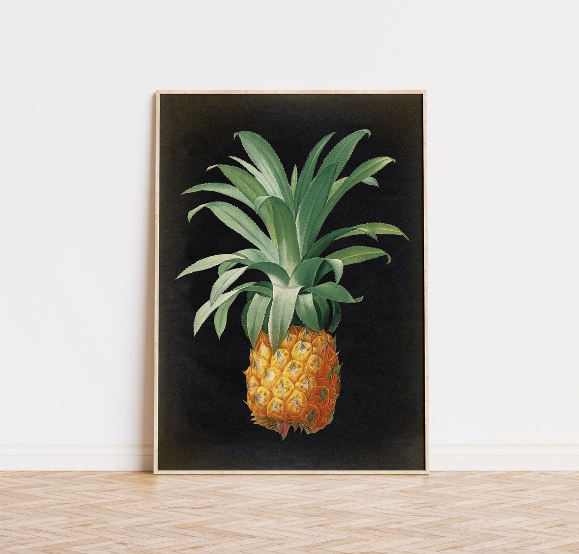 Pineapple Botanical Poster, Tropical Kitchen Art Print