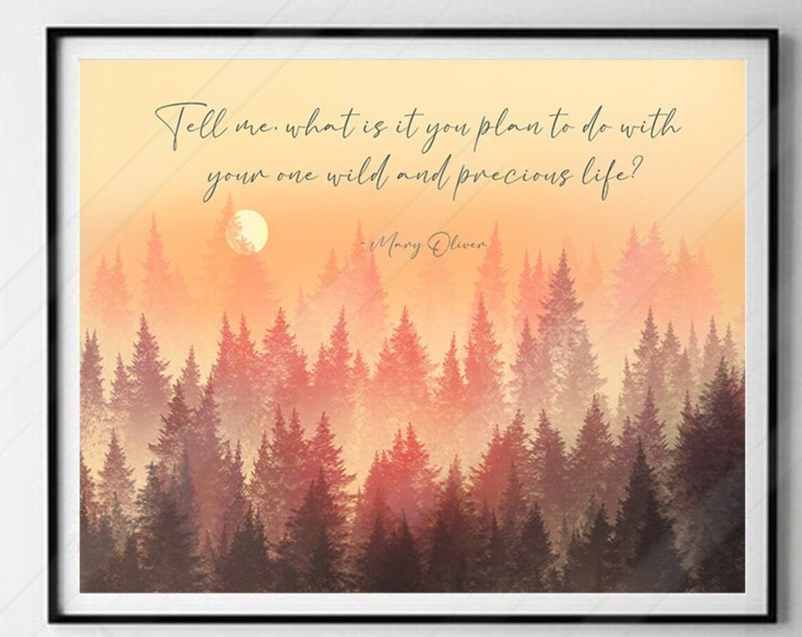 Mary Oliver Wild And Precious Life Quote Print