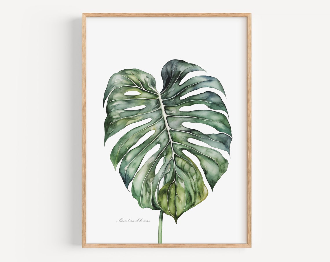 Monstera Deliciosa Leaf Watercolor Botanical Study Decor Poster