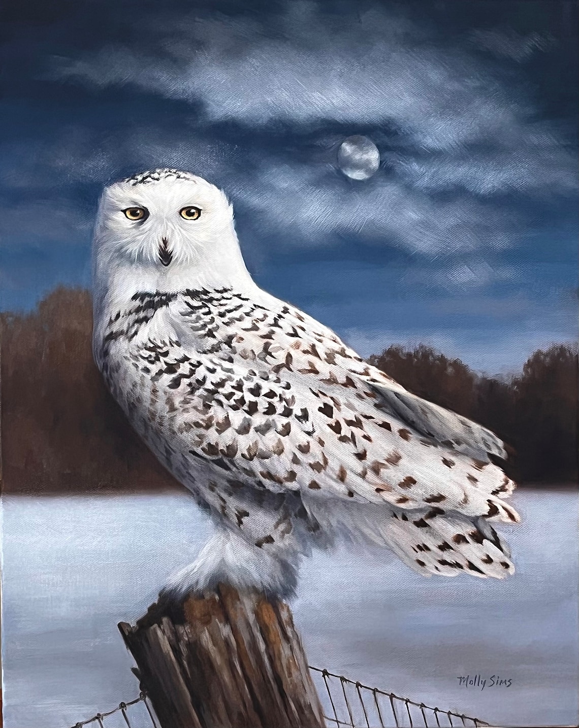 Snowy Owl Wildlife Art Print, Realistic Bird Study