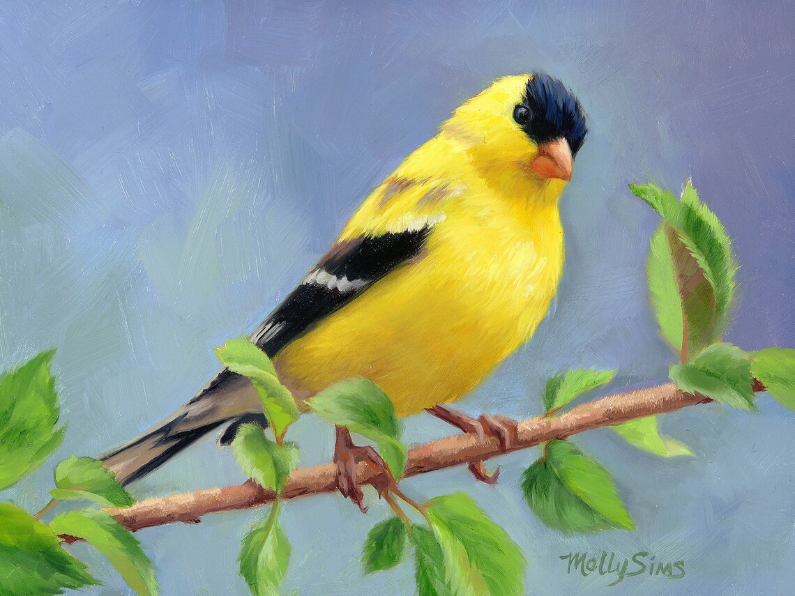 American Goldfinch Perched on a Branch Oil Painting Bird Poster