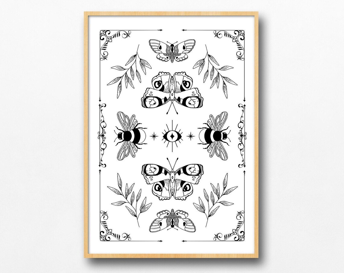 Vintage Pinned Butterfly Bee Moth Botanic Poster