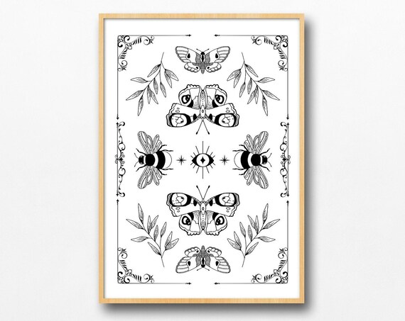 Vintage Pinned Butterfly Bee Moth Botanic Poster