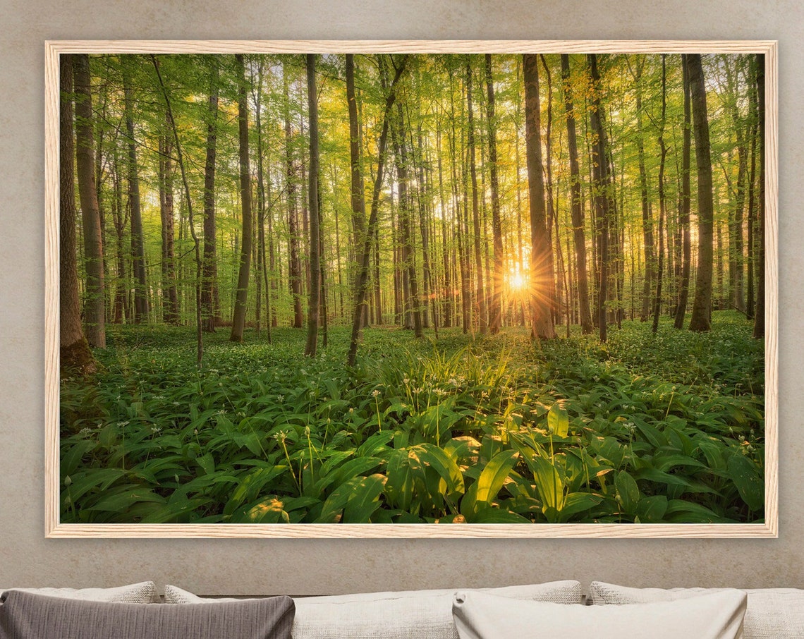 Sunrise Beech Forest Sunbeams Wild Garlic Spring Woodland Poster