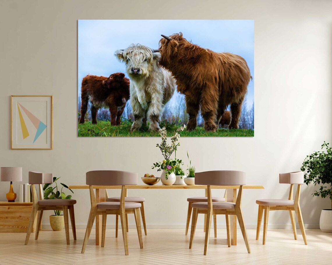 Highland Cows Herd Farm Field Shaggy Scottish Cattle Animal Poster