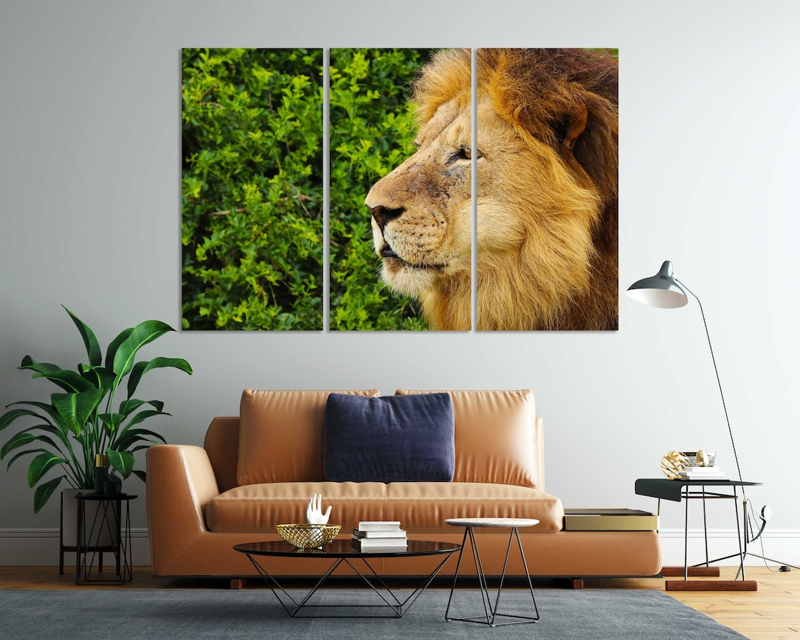 Majestic Lion Profile Close Up Golden Mane Wildlife Safari Poster - Image 8