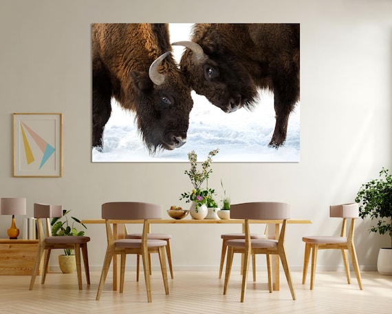 Two Bison Facing Off In The Snow Wildlife Winter Portrait Wall Art