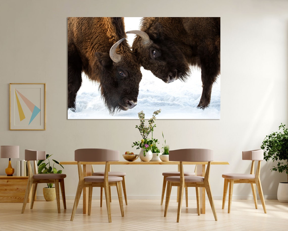 Two Bison Facing Off In The Snow Wildlife Winter Portrait Wall Art