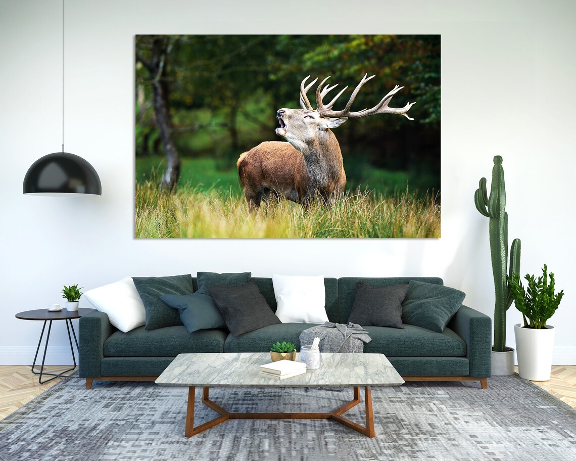 Red Deer Stag Bellowing In Meadow Wild Antlers Wildlife Photo Poster - Image 2