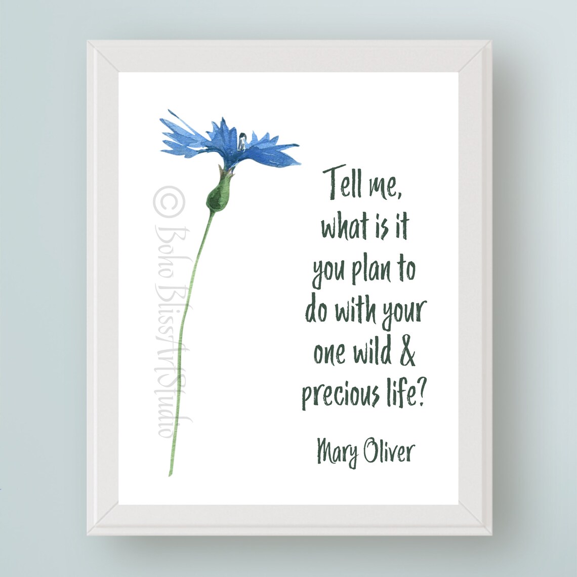 Mary Oliver One Wild Precious Life Blue Cornflower Quote Art Print