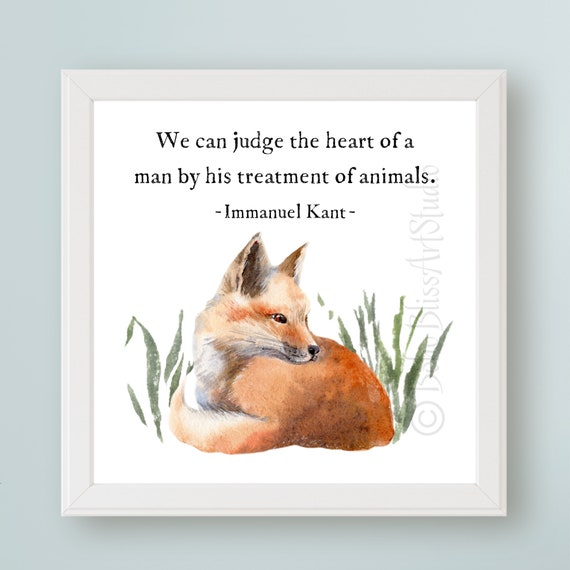 Fox And Immanuel Kant Quote, Animal Wisdom Art Print