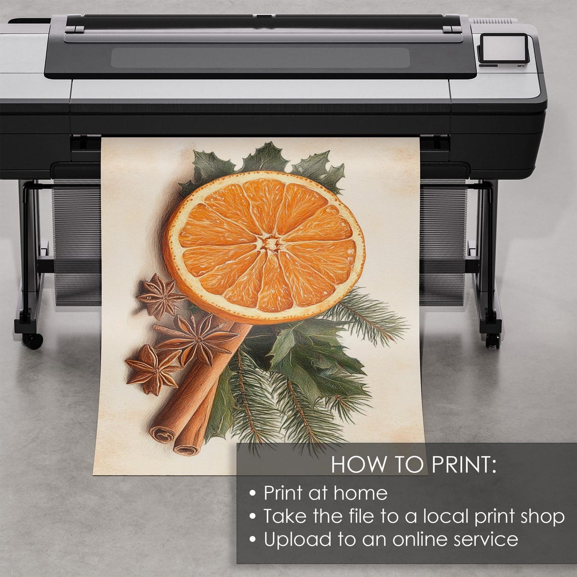 Orange Slice with Cinnamon Star Anise Christmas Botanical Poster - Image 5
