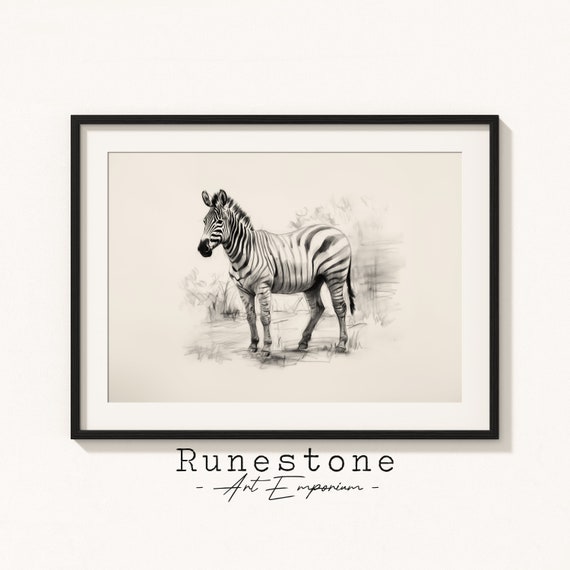 Zebra Safari Illustration Savanna Wall Art Minimal Animal Portrait Pencil Drawing Decor Neutral Print