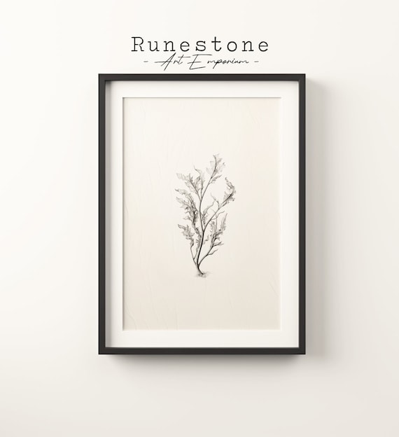 Seaweed Botanical Pencil Sketch Minimalist Marine Plant Line Poster