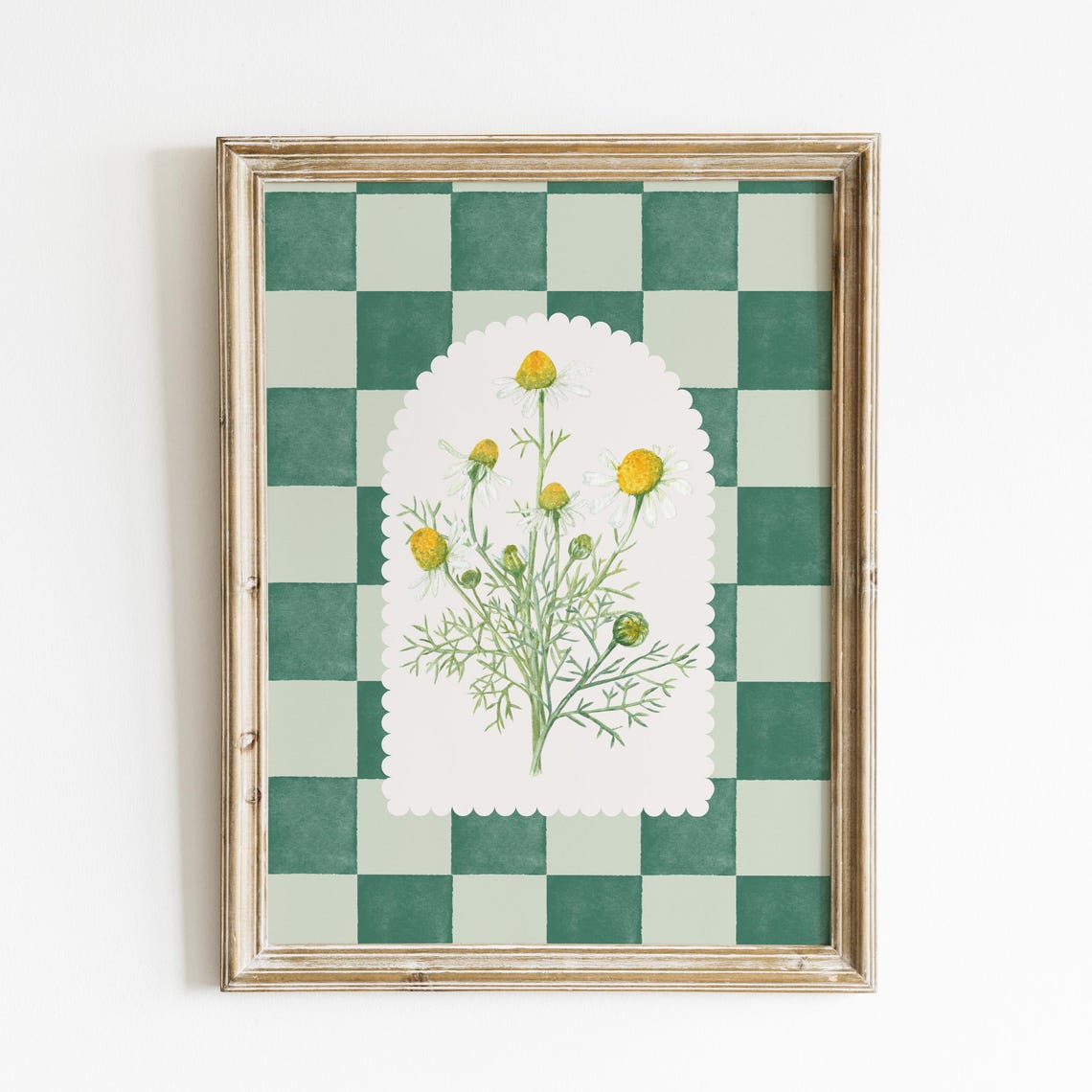 Chamomile Wildflower Botanical Green Checkered Farmhouse Art Poster