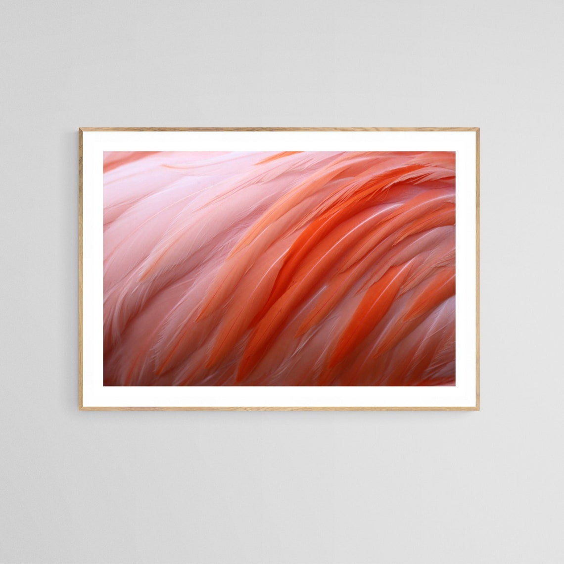 Flamingo Photograph, Bird Fine Art Print