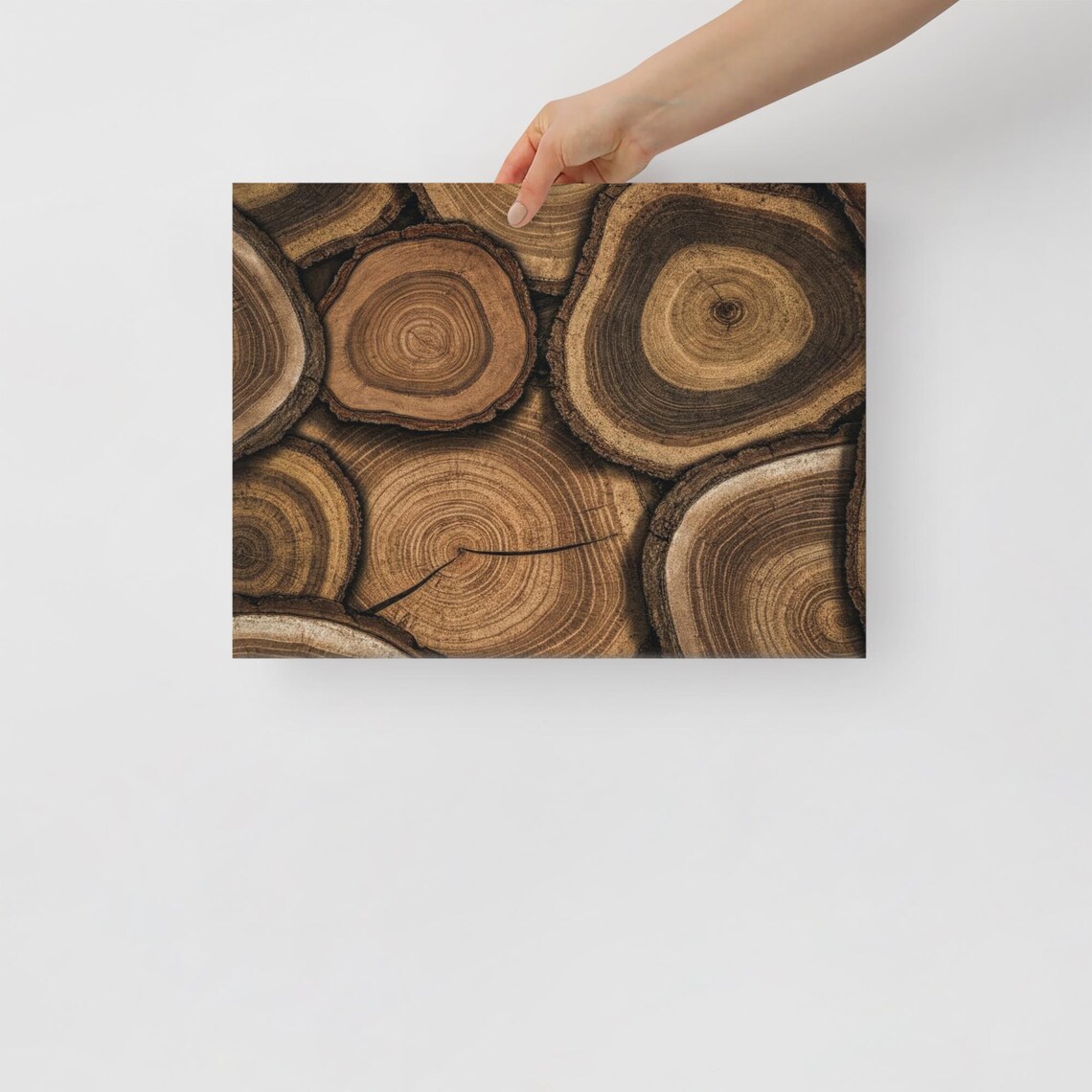 Rustic Wood Wall Art Tree Stump Ring Art Organic Tree Trunk Decor Wall Hanging For Rustic Home Decor And Cozy Spaces - Image 3