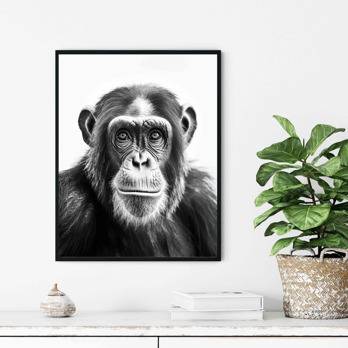Soulful Chimpanzee Face Portrait in Black and White Art Poster - Image 3