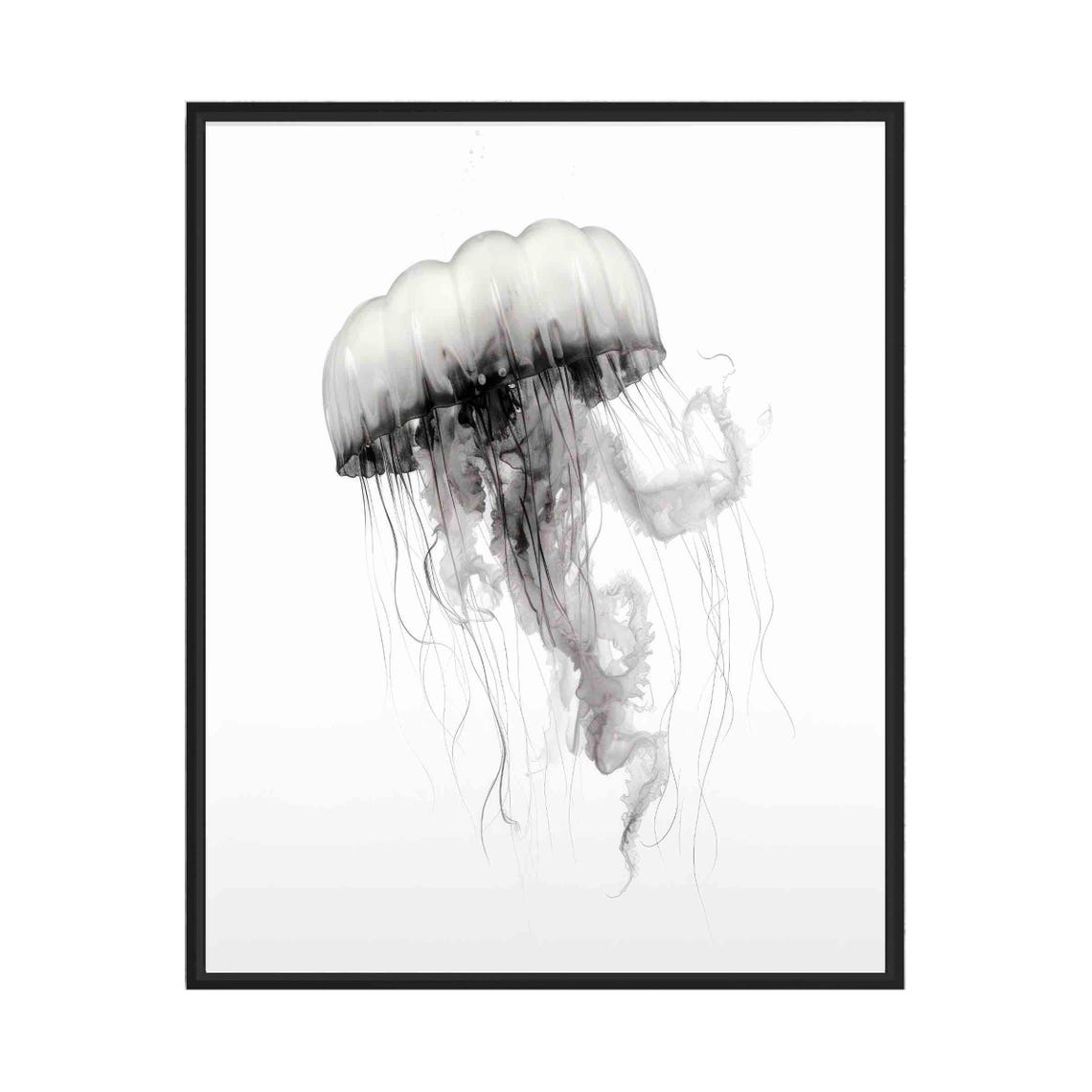 Ethereal Jellyfish Floating in Watercolor Black and White Art Poster