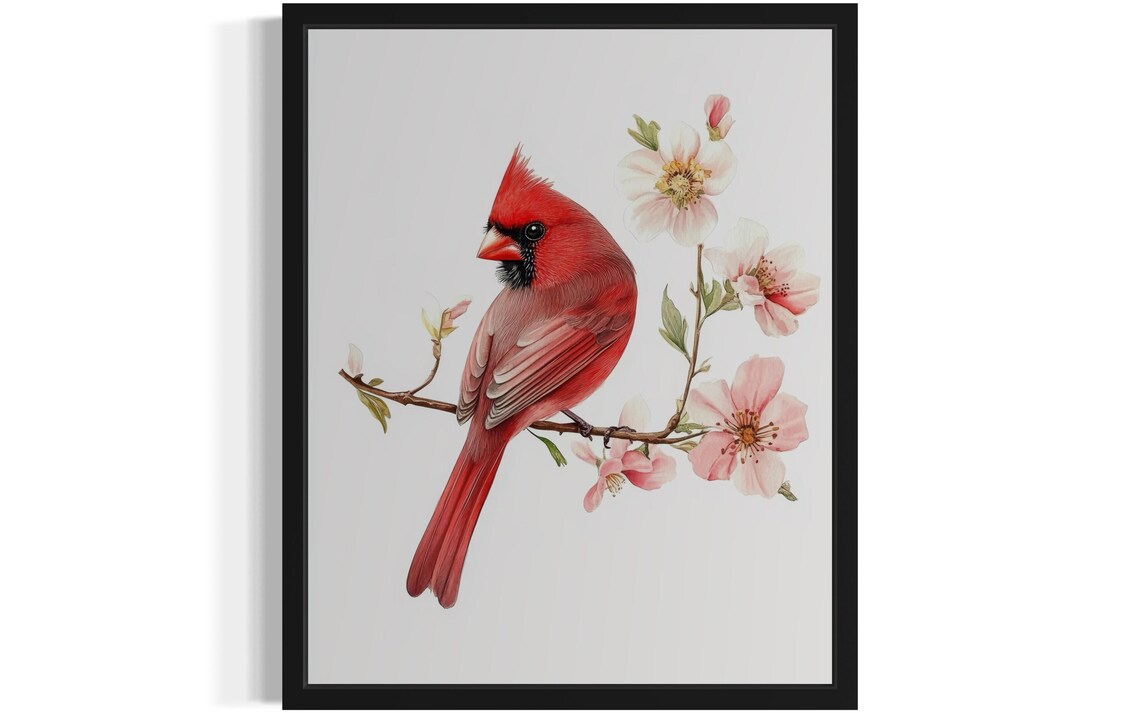 Northern Cardinal Among Pink Blossoms Watercolor Red Bird Poster