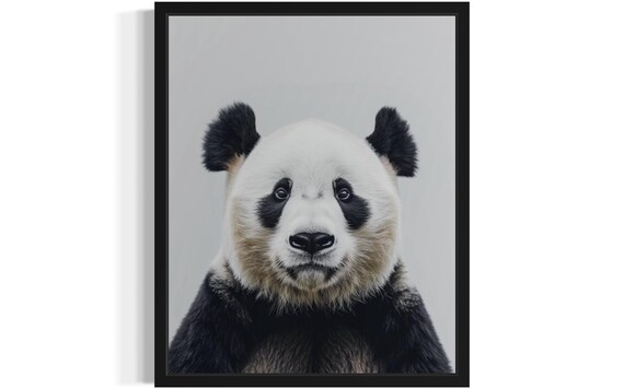 Adorable Giant Panda Face Close-Up on Gray Background Photo Poster