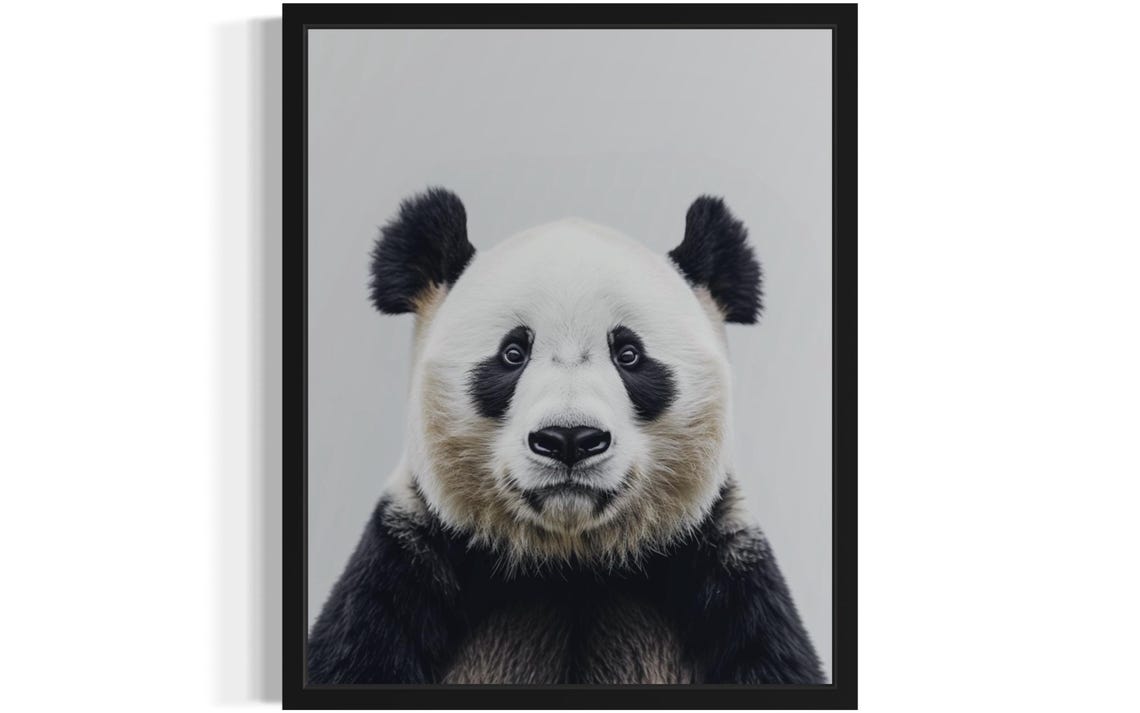 Adorable Giant Panda Face Close-Up on Gray Background Photo Poster