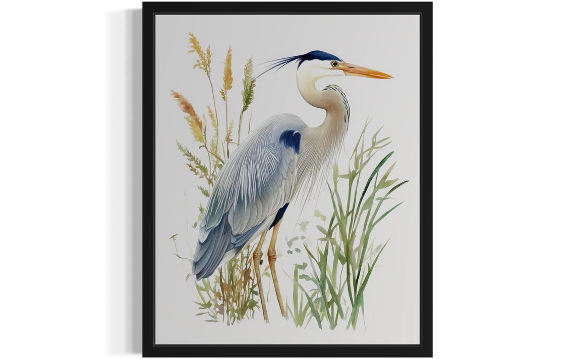 Great Blue Heron among Reeds Botanical Watercolor Bird Poster