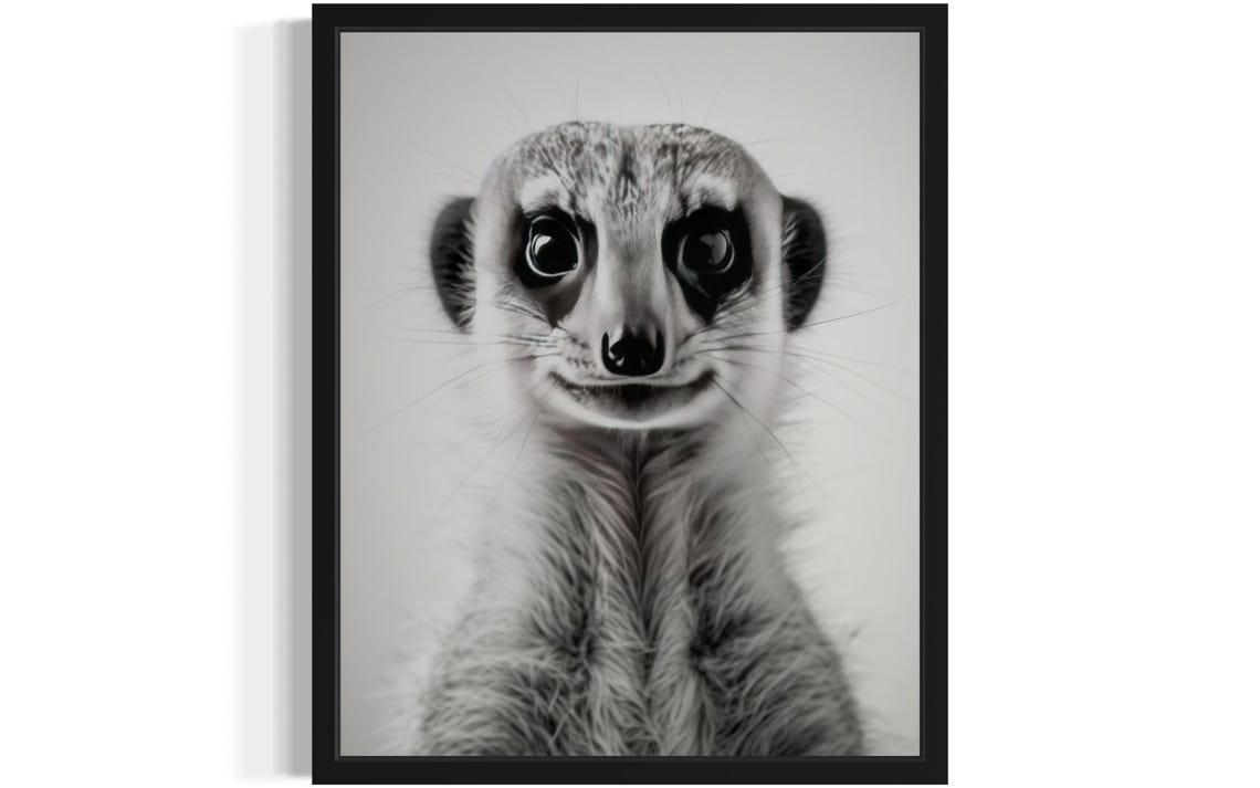Black And White Meerkat Portrait Cute Animal Close Up Photo Poster