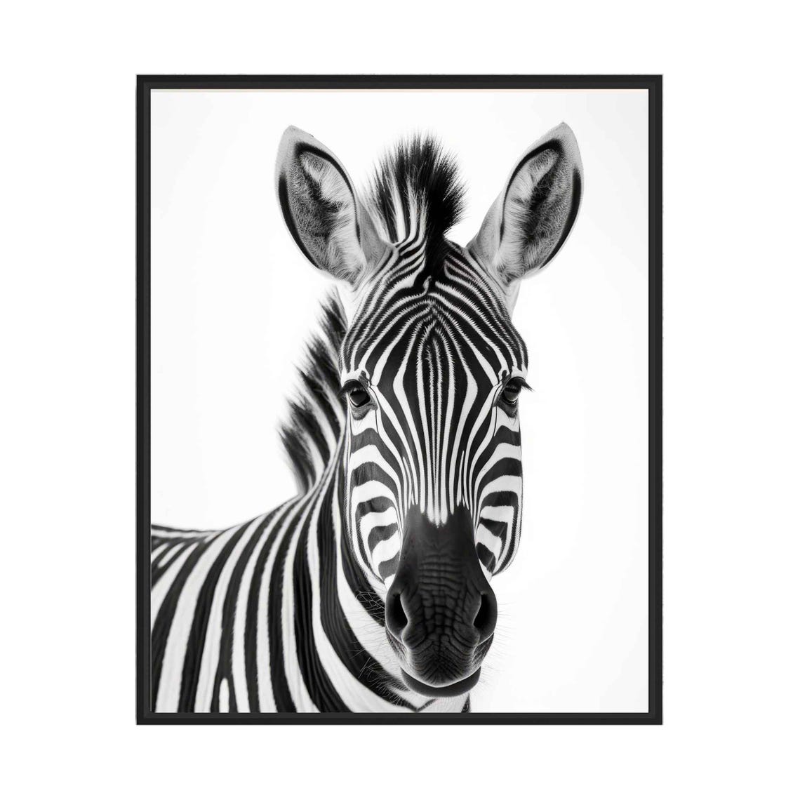 Zebra Black and White Striped Front Portrait Wildlife Poster