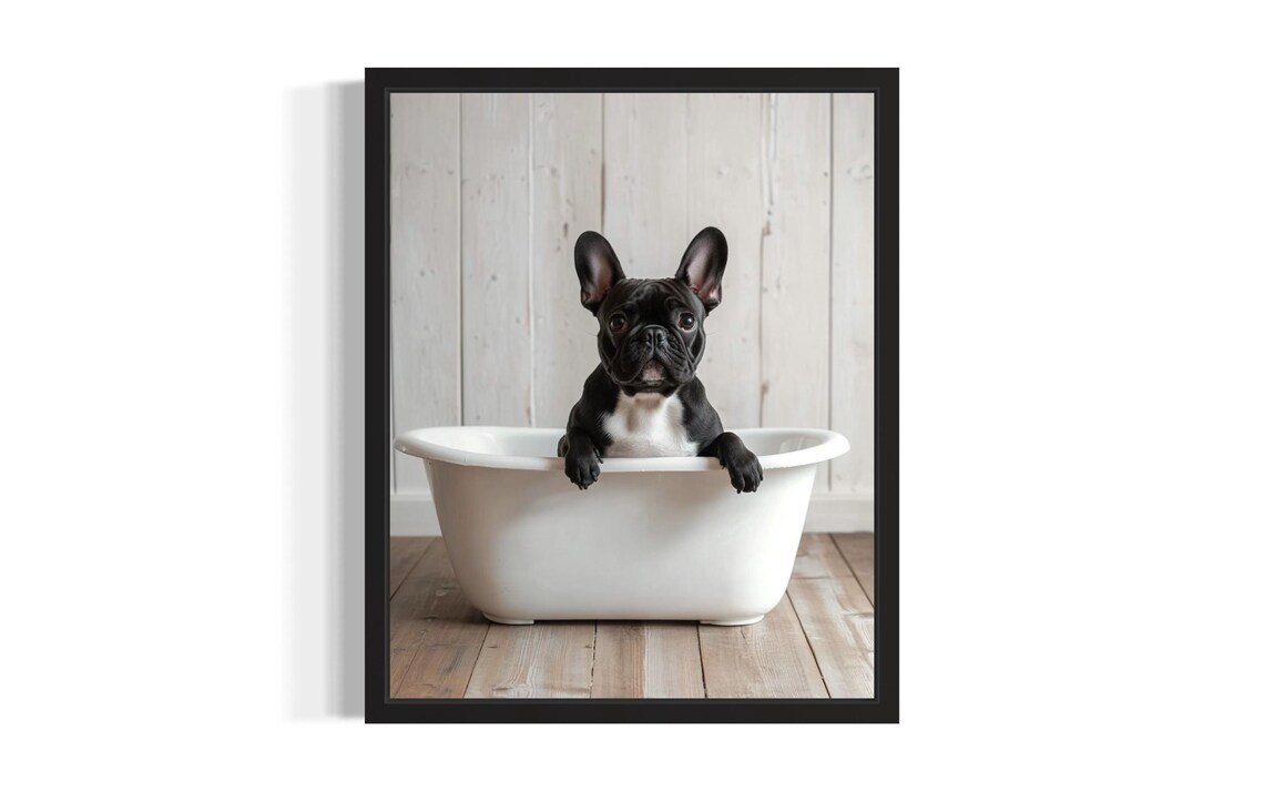 Black French Bulldog Puppy Sitting in a White Bathtub Poster