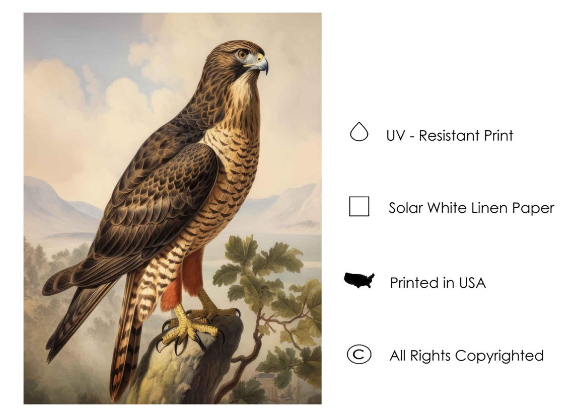Red Tailed Hawk on a Mossy Stump Vintage Bird of Prey Poster - Image 3