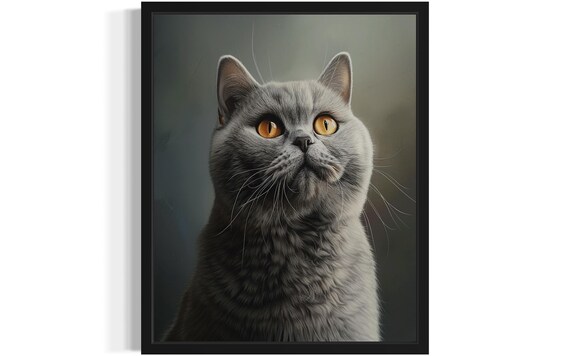 British Shorthair Cat Black and White Grey Breed Portrait Poster