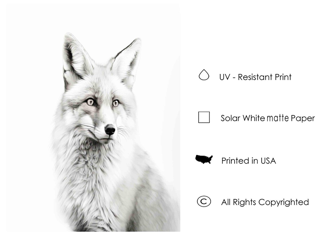 Fox Black and White Fluffy Front Facing Woodland Animal Portrait Poster - Image 2