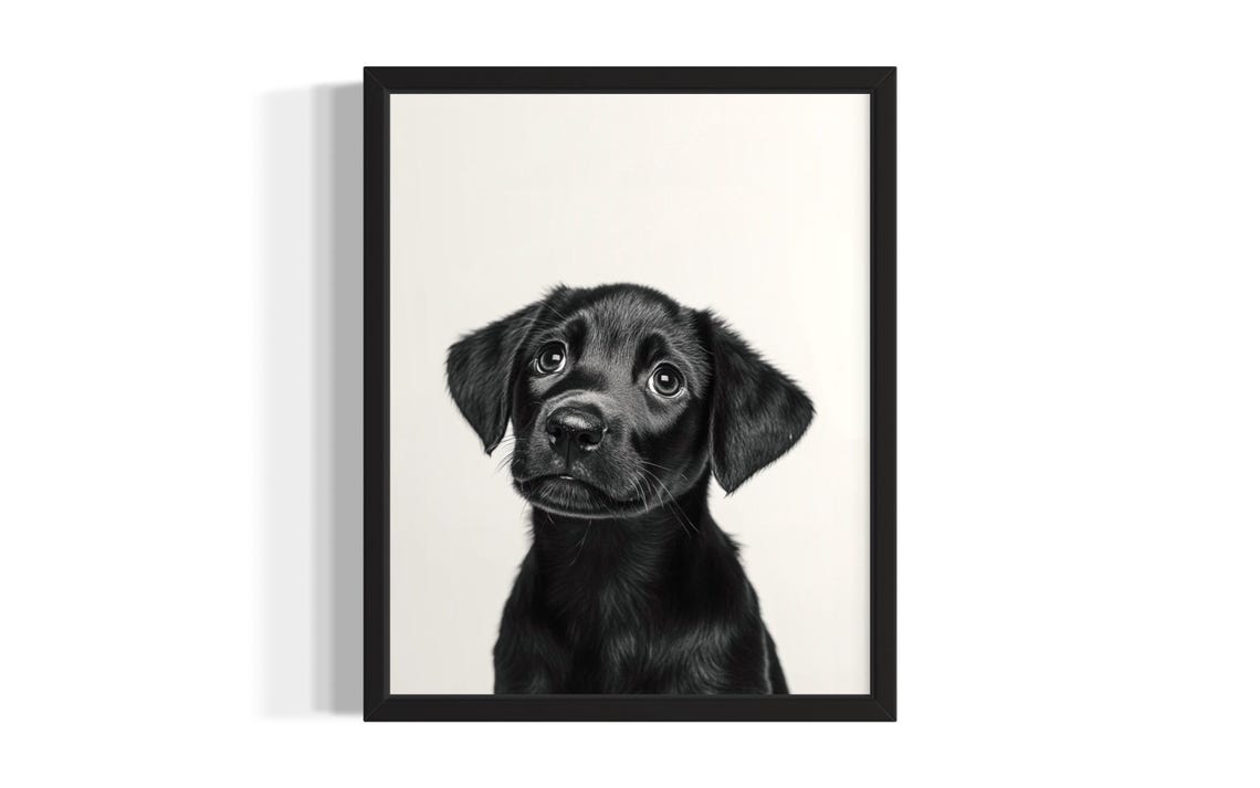 Sweet Black Labrador Puppy Portrait Studio Photo Dog Art Poster
