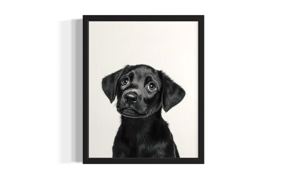 Sweet Black Labrador Puppy Portrait Studio Photo Dog Art Poster