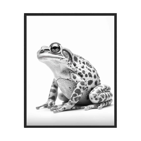 Frog Black and White Spotted Tree Frog Studio Portrait Poster