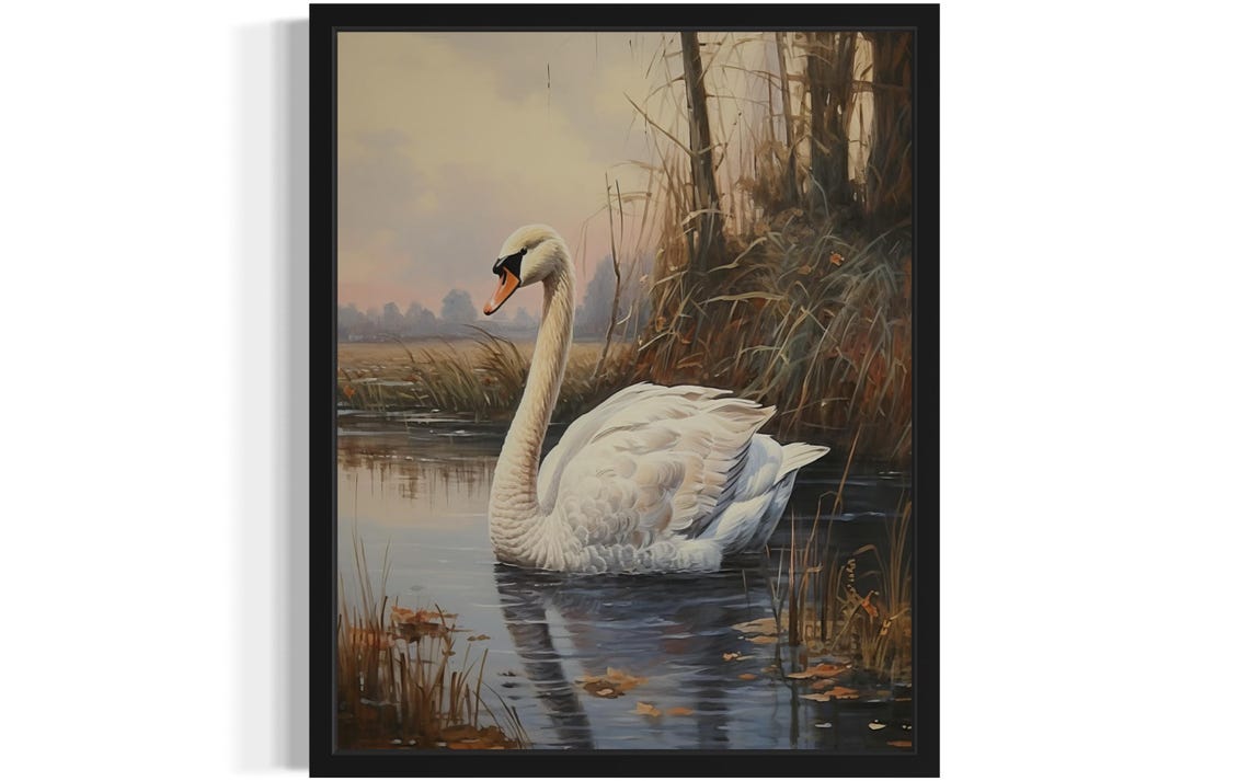 Mute Swan Gliding Through an Autumn Marsh Vintage Waterfowl Poster