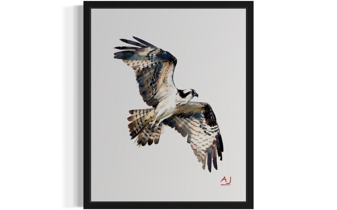 Osprey with Spread Wings Soaring Through Sky Watercolor Poster