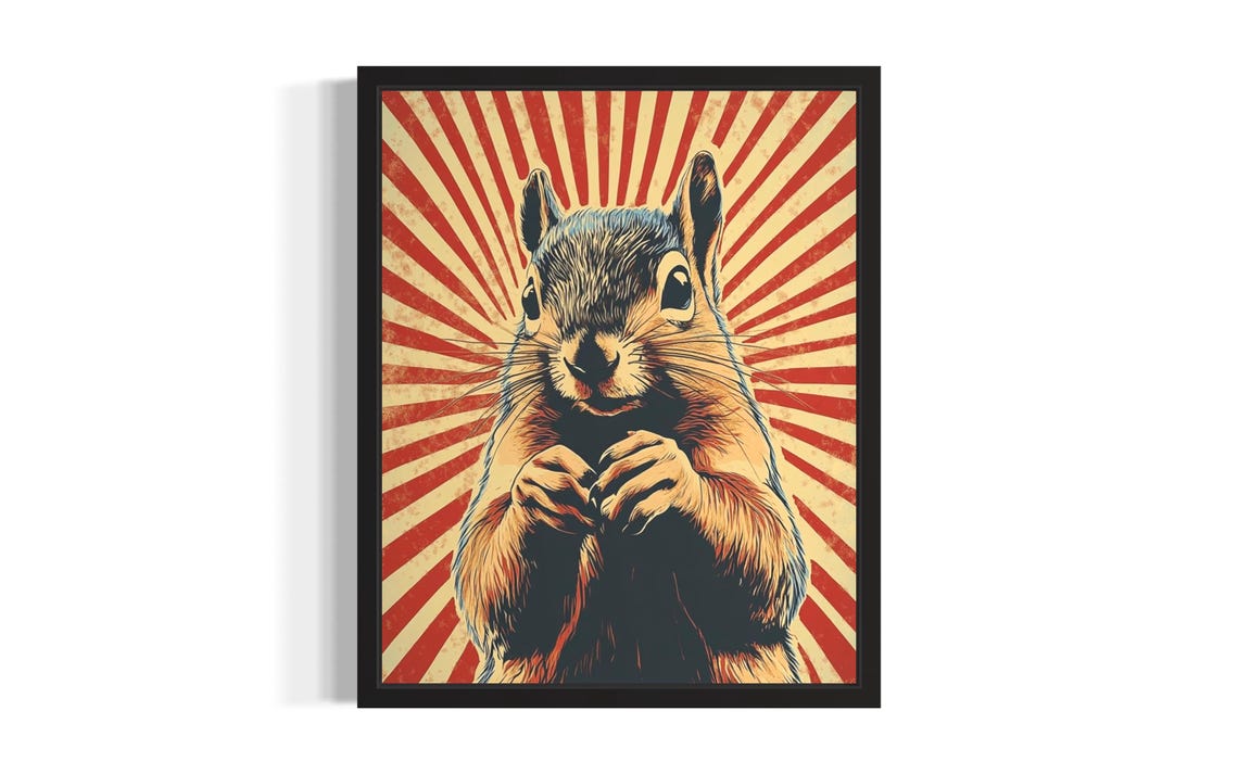 Funny Squirrel Retro Sunburst Pop Art Bold Vintage Style Poster
