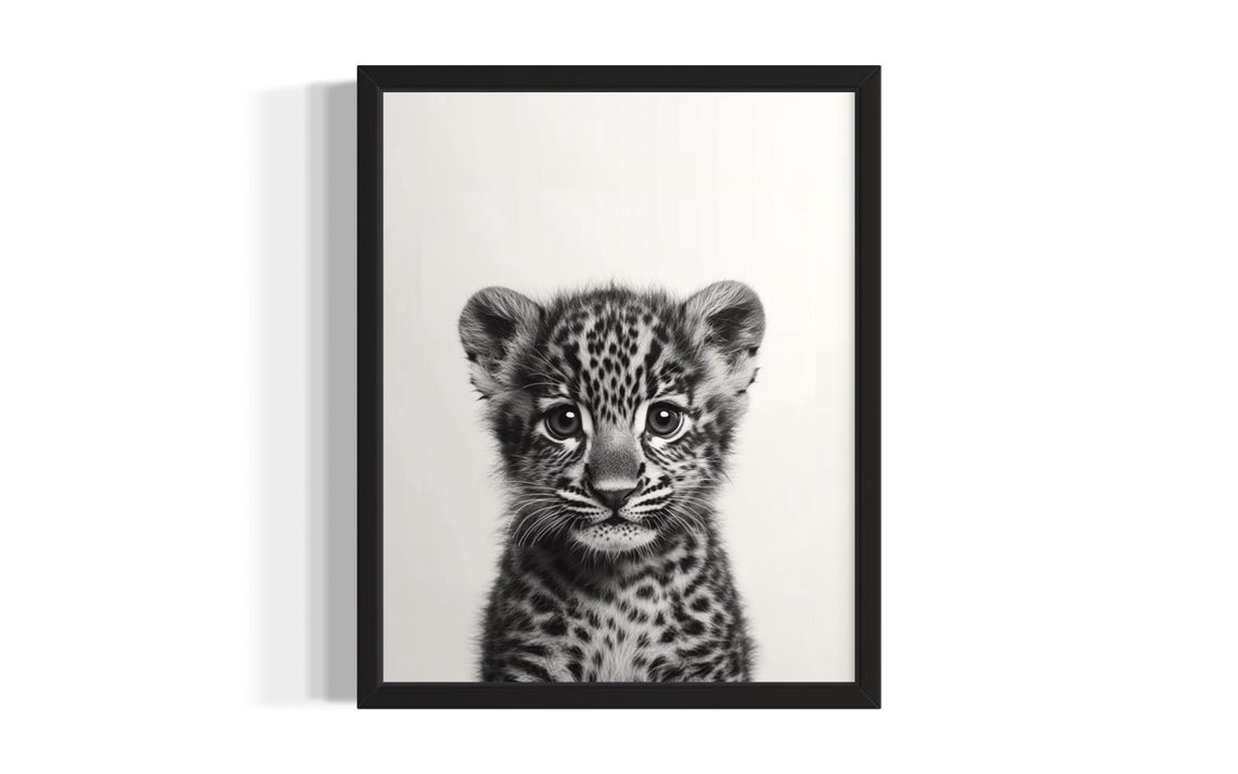 Baby Leopard Black And White Close Up Portrait Spotted Cub Poster